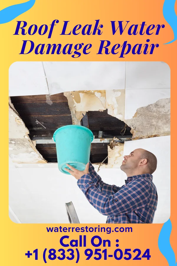 Roof Leak Water Damage Repair in Roseland, NE